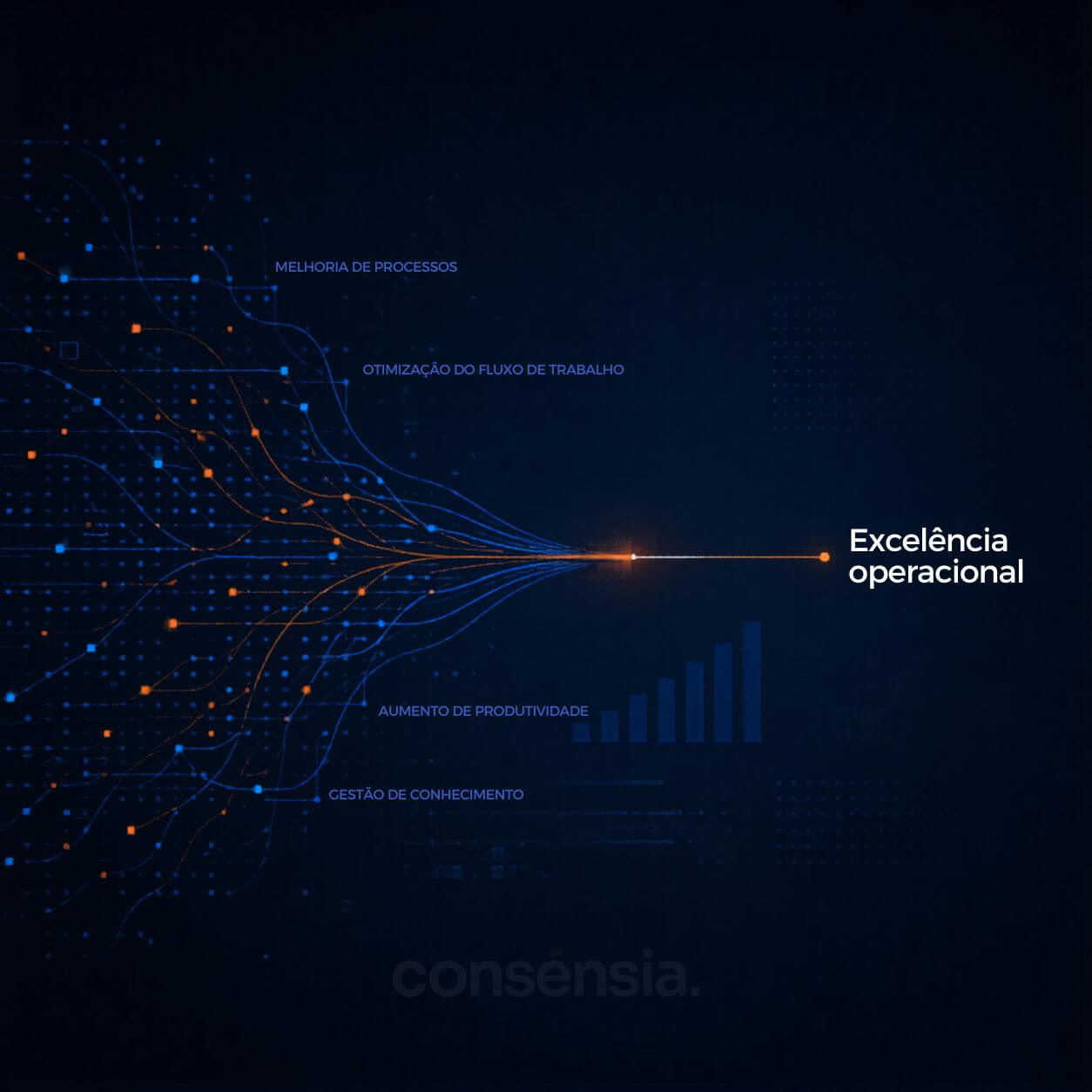 Excelência operacional