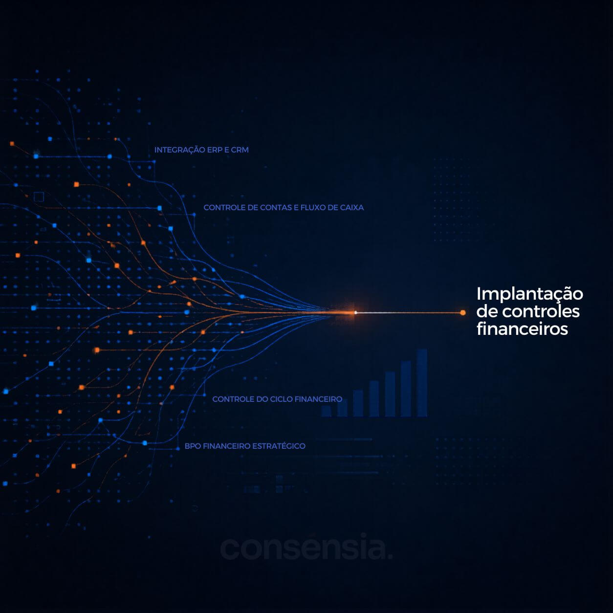 Implantação de controles financeiros